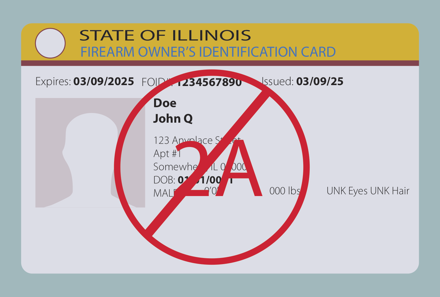 Opinion Illinois Foid Cards Violate Second Amendment Rights The Daily Illini