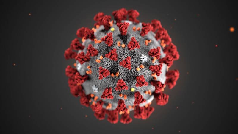 An illustration created by the CDC depicts the structure of the coronavirus. Students and faculty will adjust to partially-online classes and a socially-distanced campus during the fall semester.