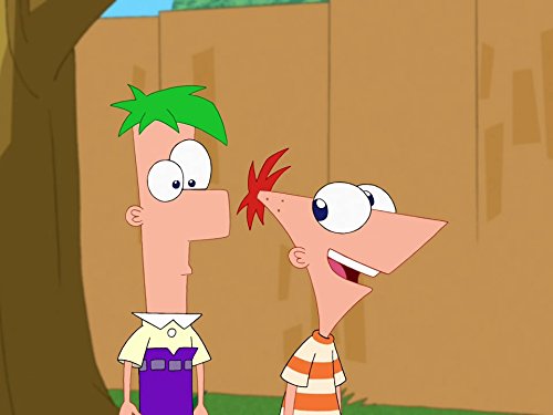 Brothers Phineas and Ferb talk in their backyard in the show Phineas and Ferb