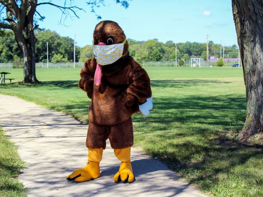 A person dressed in a turkey costume poses for a promotional image for the 2020 Turkey Trot. The event will be held virtually this year.