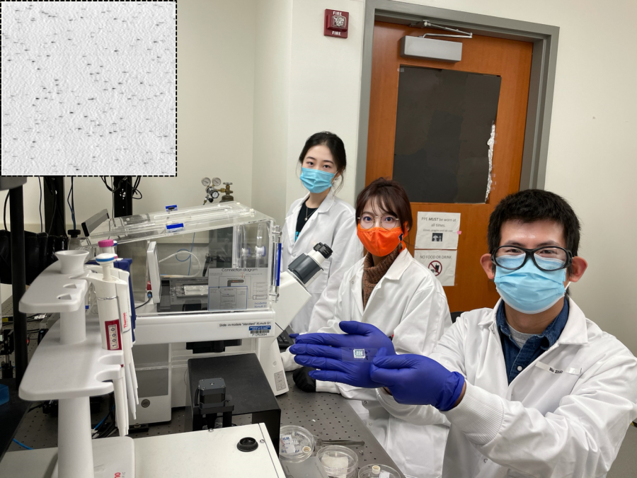 COVID-19 antibody test researchers present a 10x13mm assay chip and their PRAM instrument. In the top left corner, a PRAM image shows COVID-19 antibody molecules represented by black dots. 