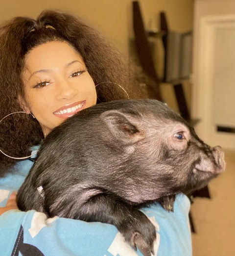 University of Illinois senior, Jamie Perakis, hugs her pet pig for a photo. Perakis has gained millions of TikTok view with her unique pets.