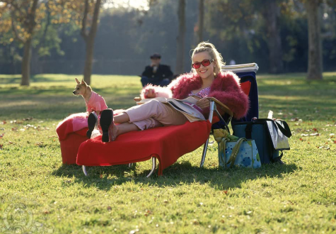 Reese Witherspoon stars in the movie “Legally Blonde” with her dog Moonie which was released on July 13, 2001.
