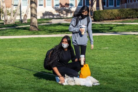 Two university students pet a dog on the Main Quad on April 3. There are many ways to make new friends on campus.