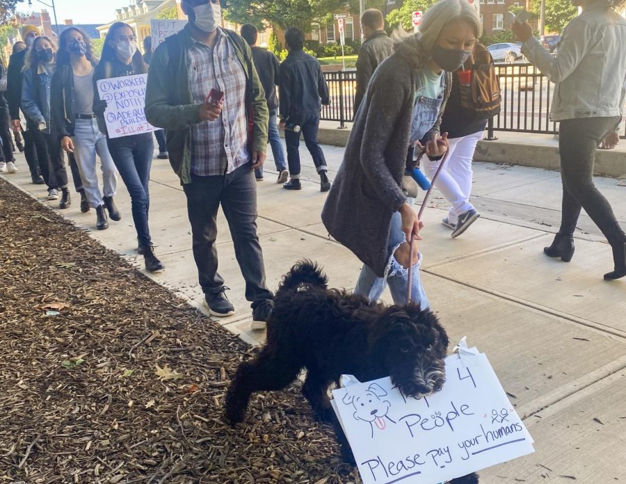 Members of the Graduate Employees’ Organization protest outside of the Henry Administration Building on Thursday morning. The group demands the University take responsibility for its teaching staff during the COVID-19 pandemic.