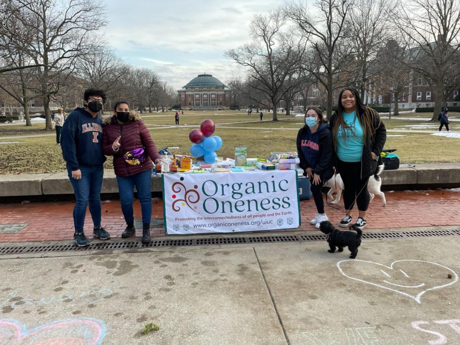 The Organic Oneness Organization chalks the sidewalk with supportive messages on the quad on Monday. The C-U community comes together in response to hate crime. 