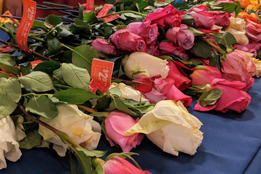 Valentines Day roses at the Illini Union on Feb. 14 2019. 112 people signed up for blind dates through a Reddit post made on Feb. 2. 