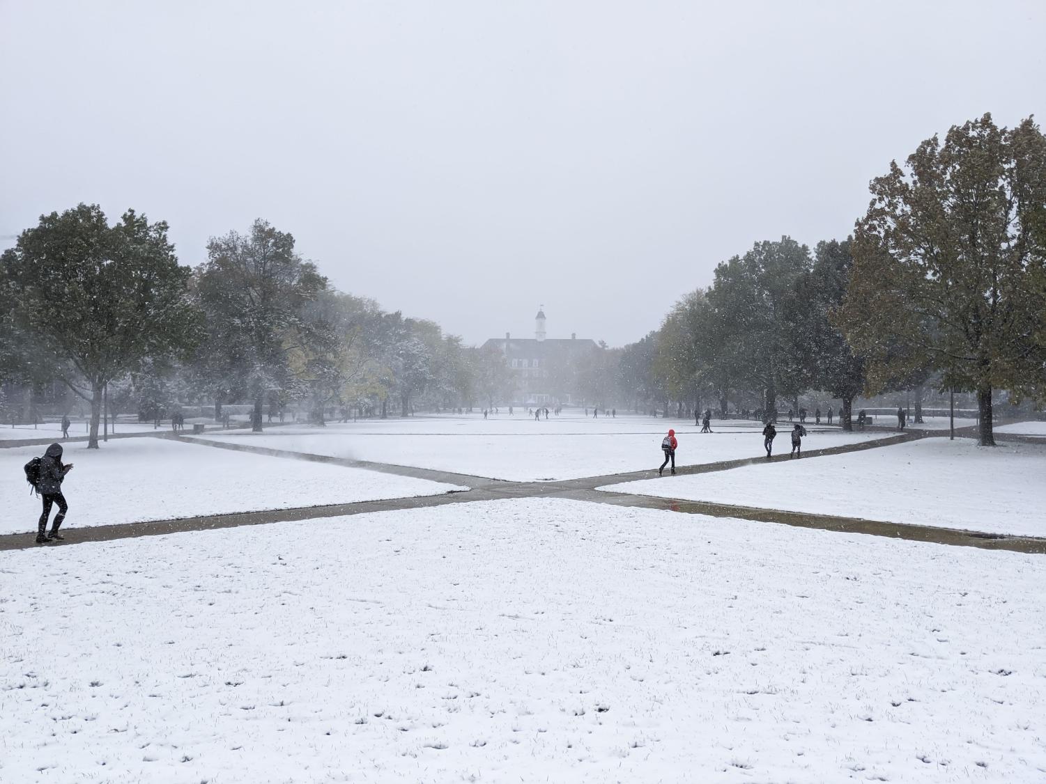 UI moves classes online due to winter snowstorm - The Daily Illini