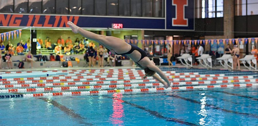Senior Taylor Shegos begins to enter the pool during her dive in a meet at the ARC. Shegos and five other Illini divers will be heading to Michigan for the NCAA Diving Championships from Monday to Wednesday. 