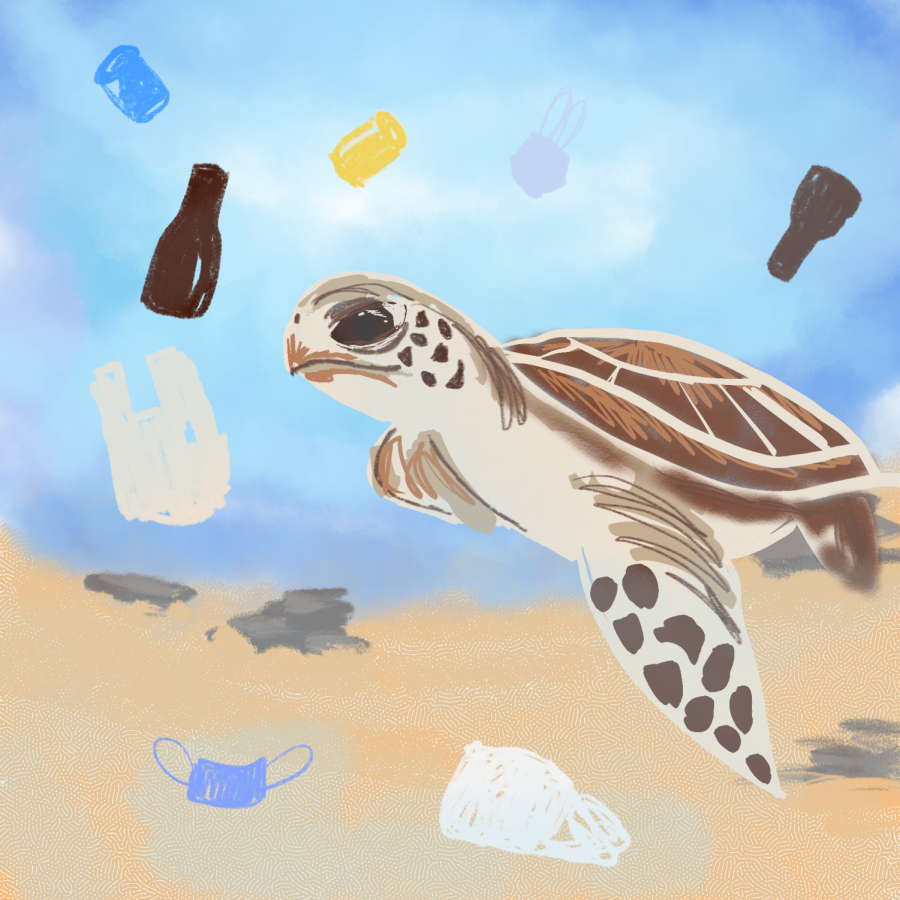 recycle_turtle