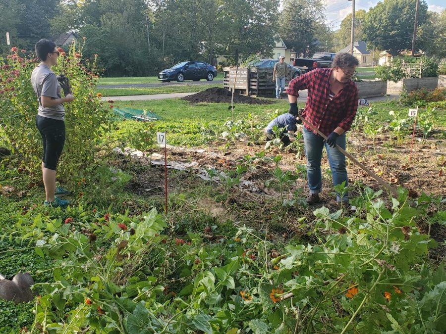 Volunteers work at one of the C-U Solidarity Gardens. Besides having their own gardens for volunteers to utilize, the organization accepts homegrown donations such as excess produce. 