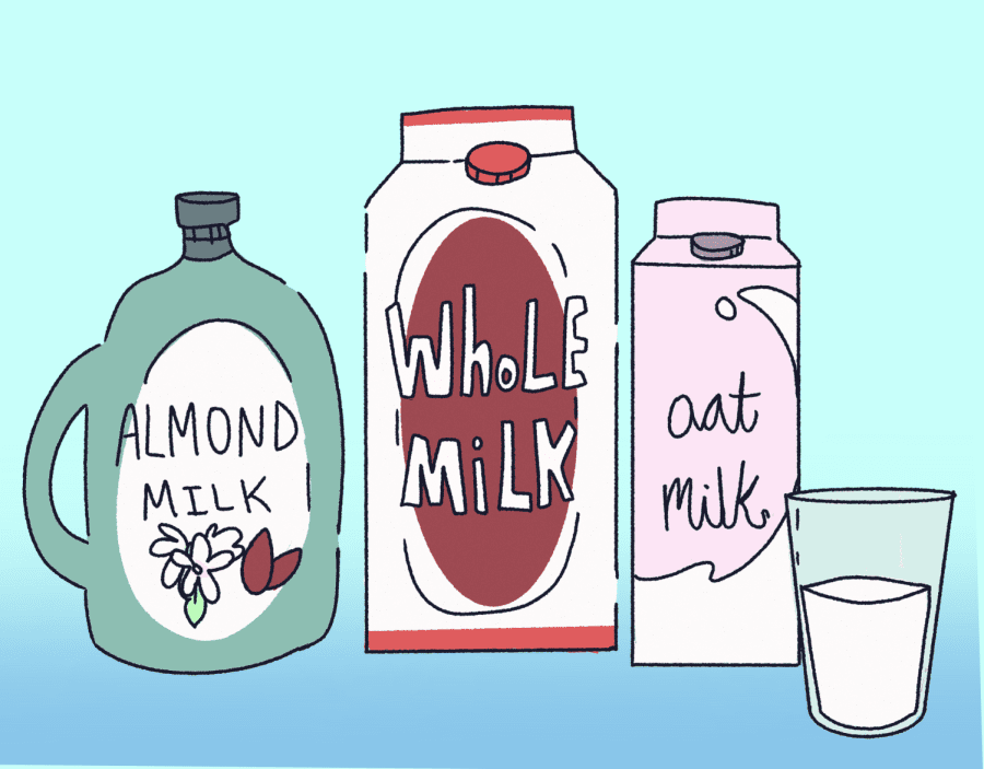 Opinion | Consider plant-based alternatives to dairy milk