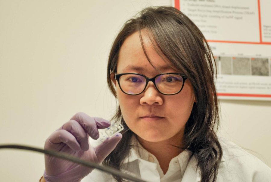 Yanyu Xiong, a graduate student studying electrical and computer engineering, holds the photonic crystal biosensors which is what holds the droplets of liquid to perform the tests. 
