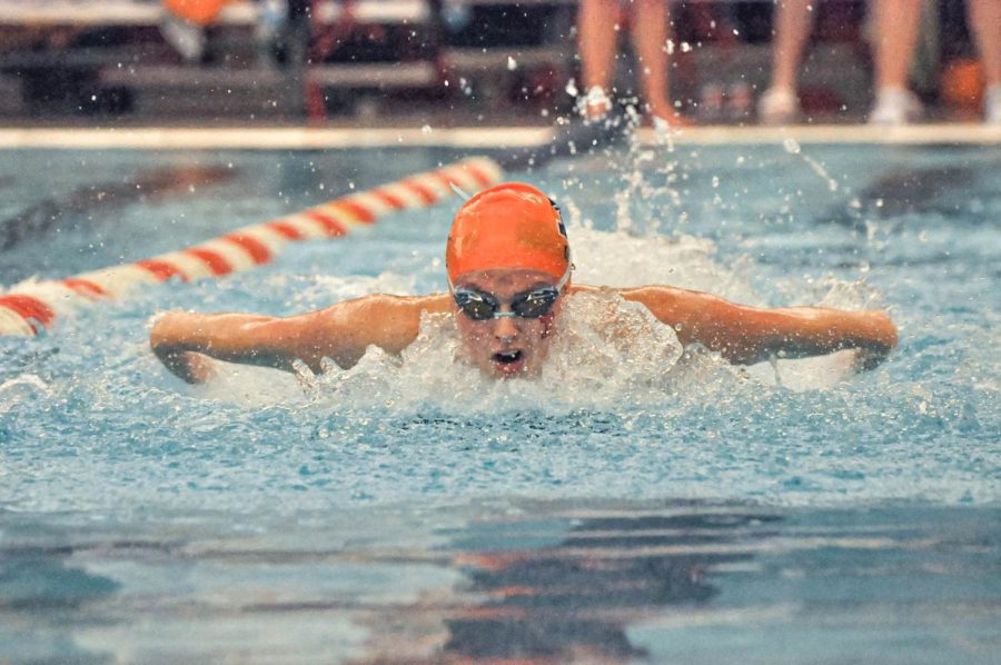 Senior Lizzie Gile swims the  100 yard butterfly during Illinois meet against Indiana State on Saturday. The Illini won 165-135. 
