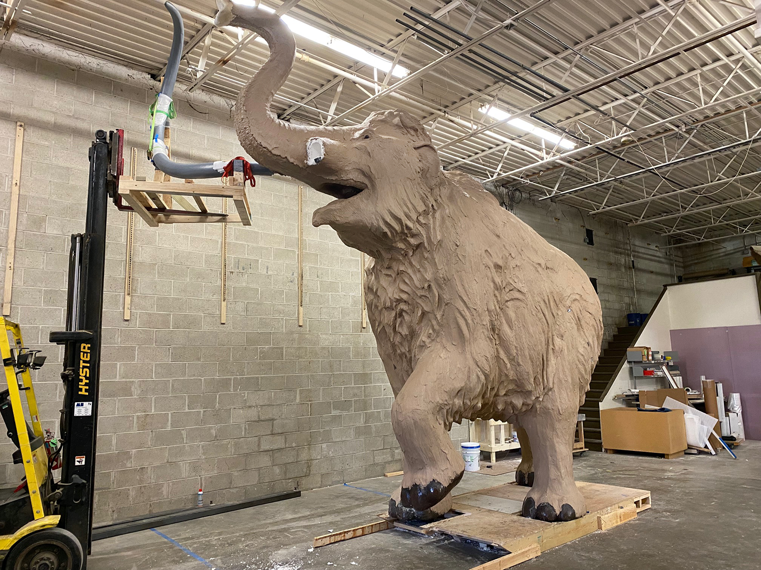 The mammoth statue, which is currently unfinished, will soon make its way to its final home on the south side of the Natural History Building.