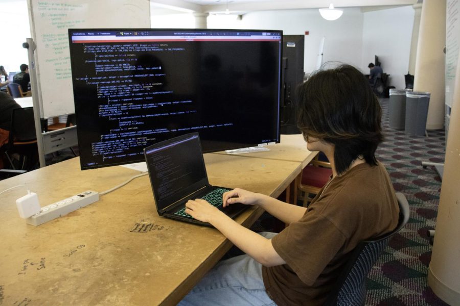 Wei Wang, sophomore in LAS, coding in Grainger.
