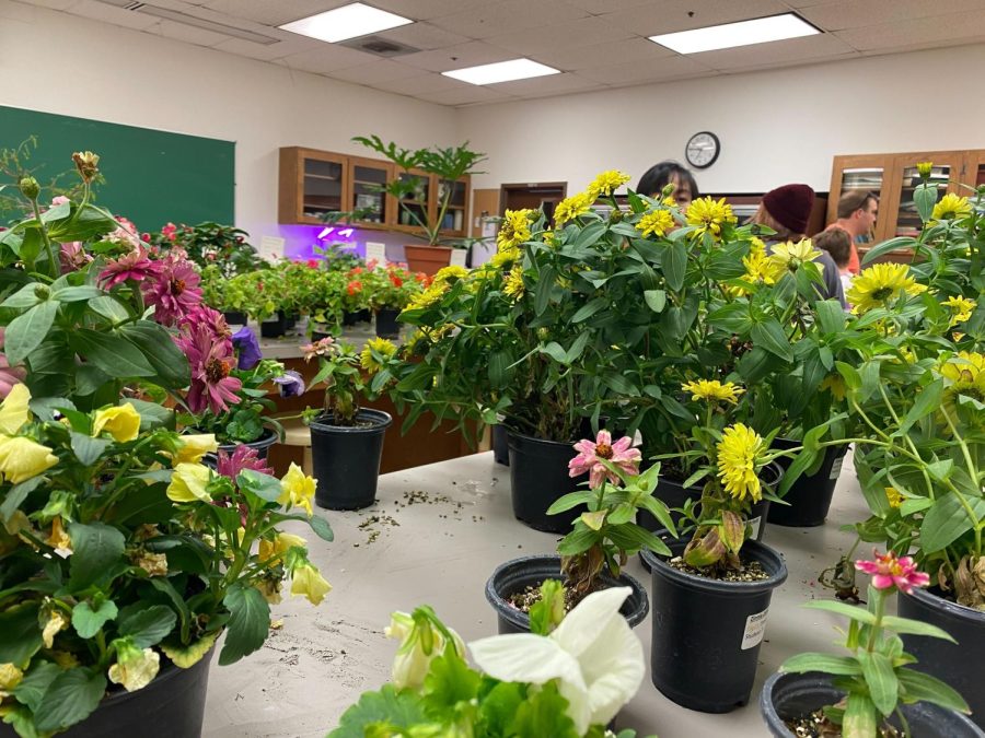 The Spring Plant Fair boasted thousands of plants, all being sold within the Plant Science Laboratory.