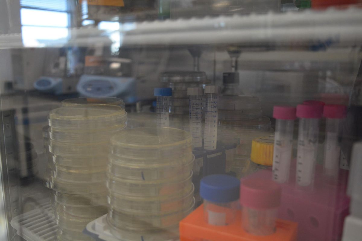 Petri dishes and test tubes stored in a fridge in Everitt Laboratory on Nov. 1.