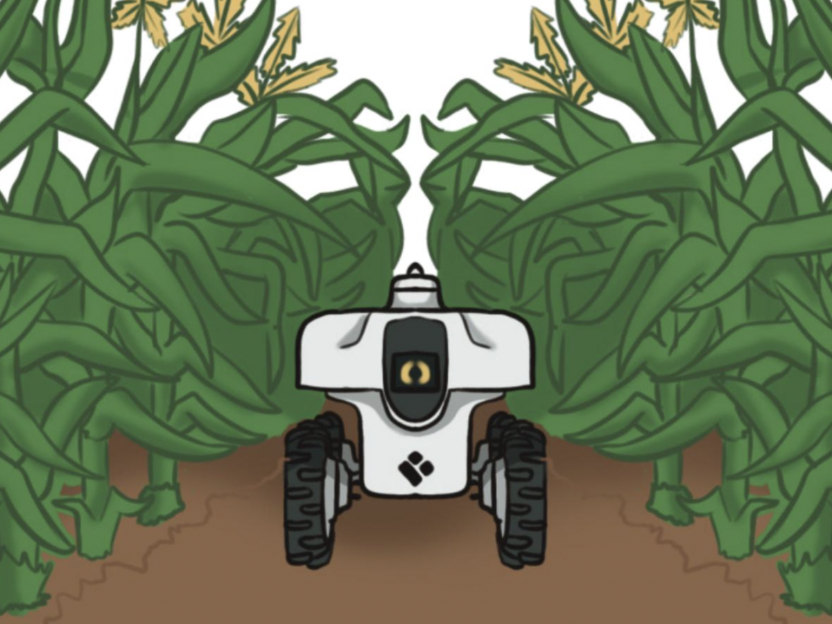Drawing of the TerraSentia robot collecting data in a field.