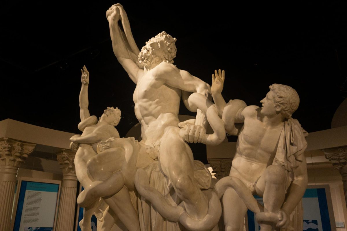 A plaster cast reproduction of the Greek statue of Laocoön and his sons. The sculpture is placed in the entrance of the Ancient Mediterranean Exhibit in the Spurlock Museum.