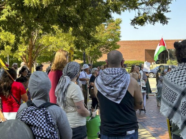 Protestors demand action at Champaign Courthouse, ask for ceasefire resolution