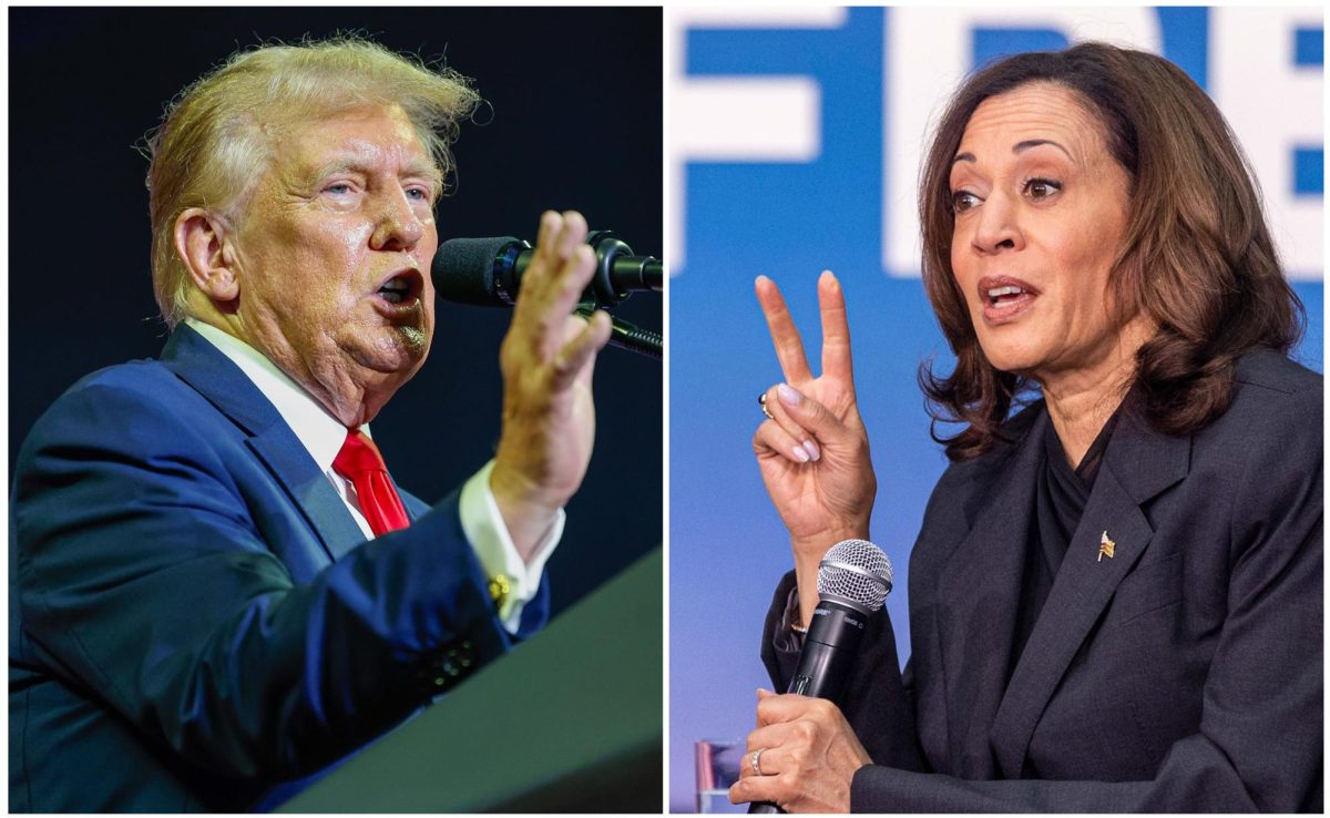 Former President Donald Trump (left) and Vice President Kamala Harris (right).