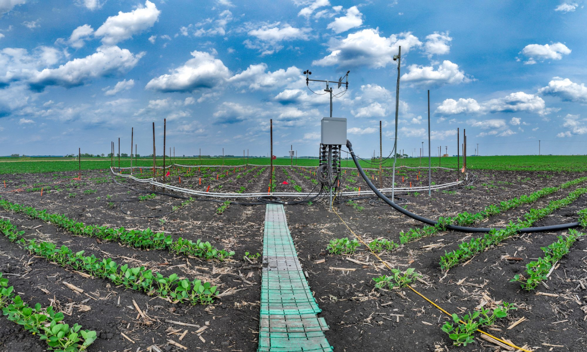 SoyFACE prepares crops for hotter planet