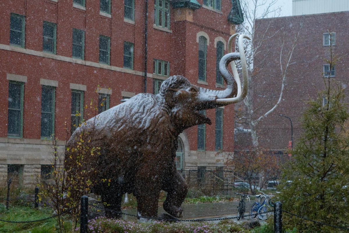 Snow settles on the mammoth statue outside of the Natural History Building on Nov. 21, 2024. 