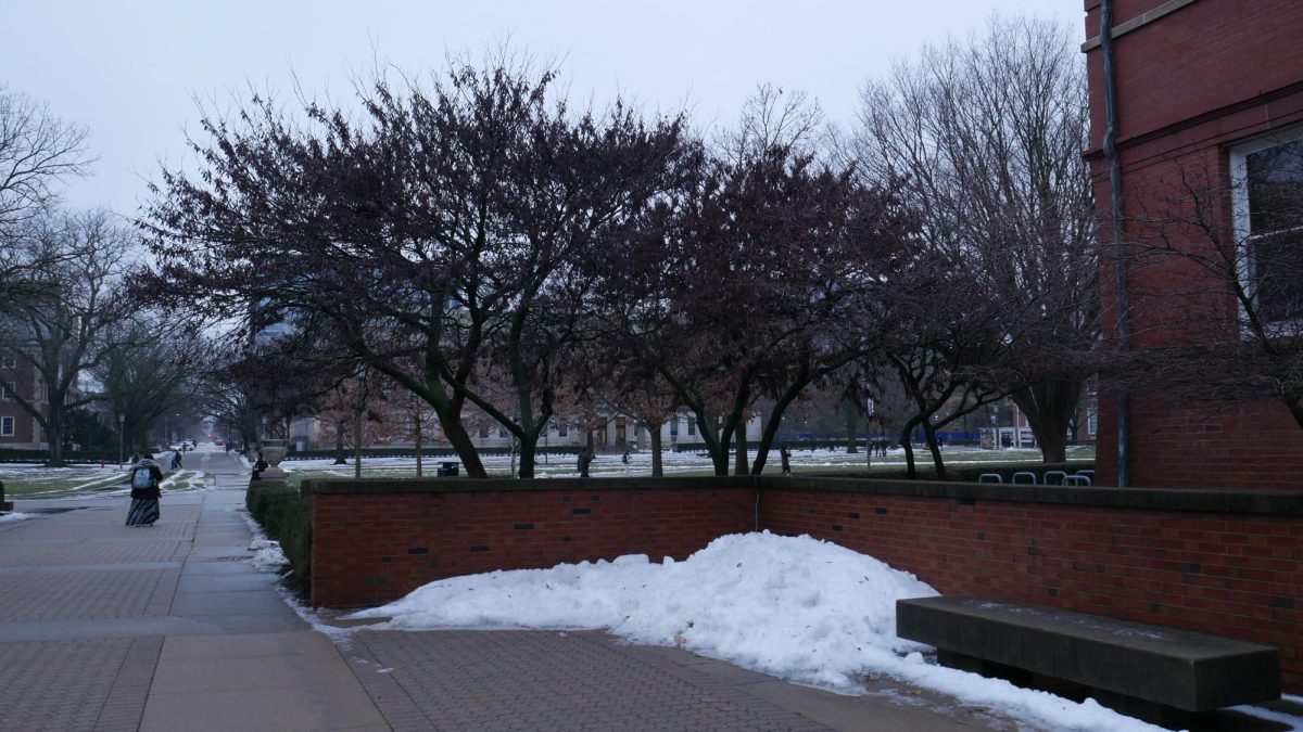 A pile of snow near the Main Quad on Jan. 24, 2024. 