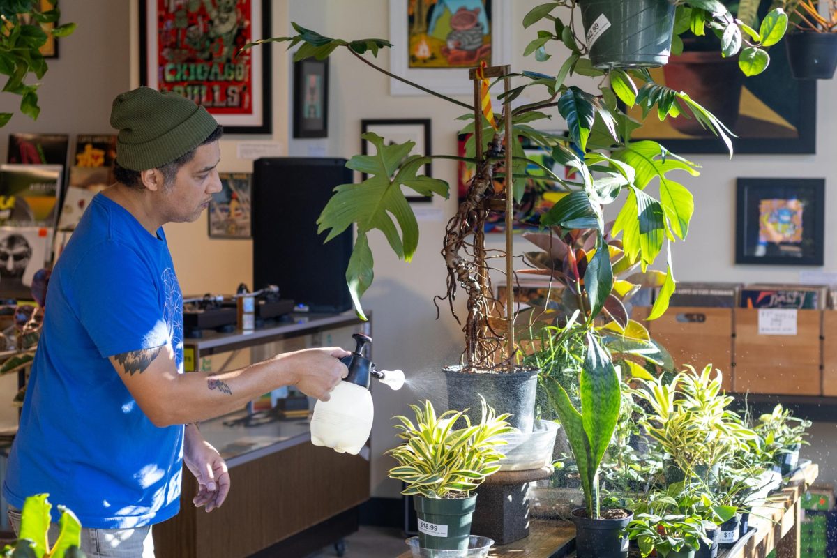 Matthis Helmick, owner of Plant Mode, waters plants on Jan. 31 at the shop’s newly opened location in downtown Champaign. The store features a unique blend of greenery and artistic decor.