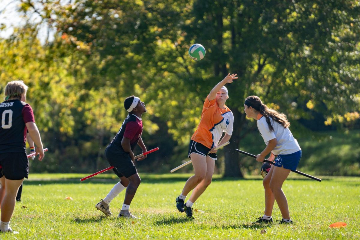 4 balls, 6 hoops, 1 community: Illini Ridgebacks quadball