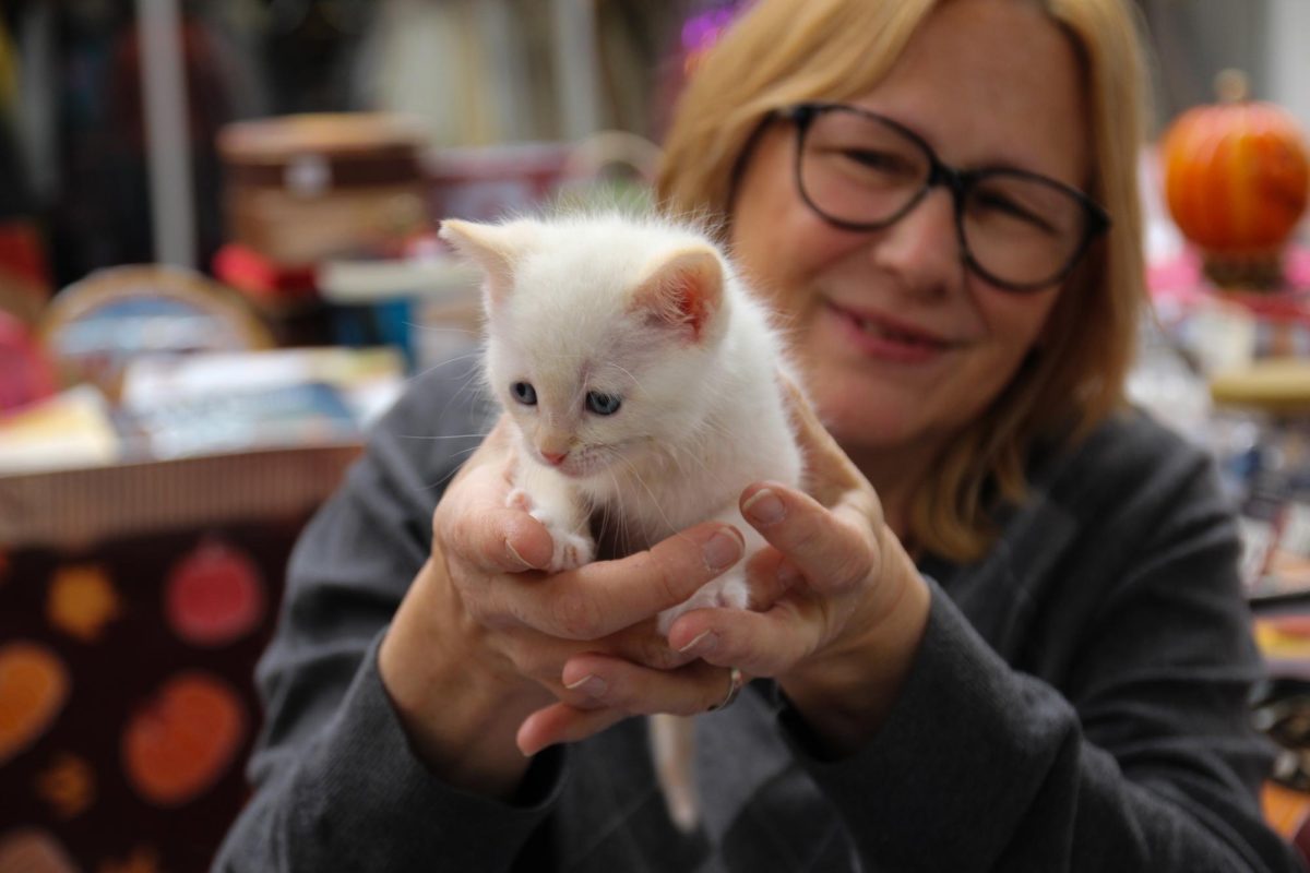Susan Catt, holds up her foster kitten at her booth during the Middlefork Flea Market festival held in Lincoln Square Mall in Urbana on Saturday. Catt owns of the shop Aunt Doris, which sells various vintage collectables. 