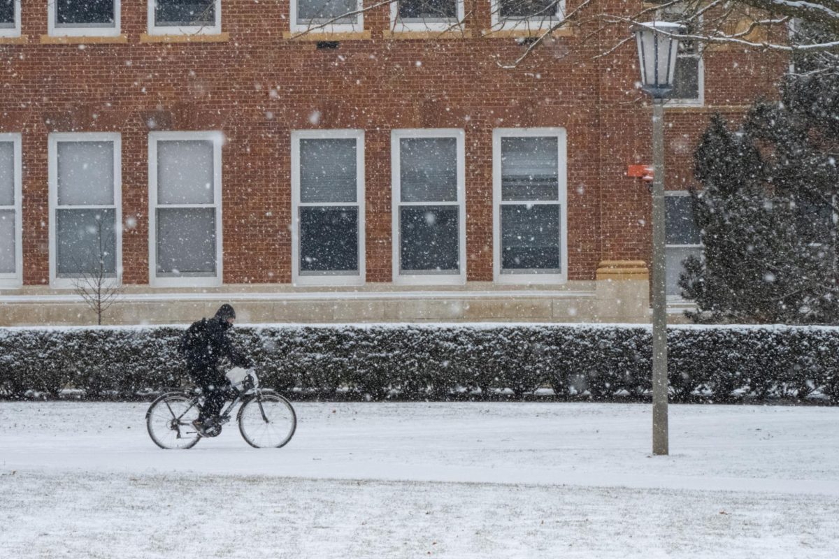 Snow falls on the Main Quad on Jan. 10, 2025. Champaign-Urbana may experience a colder, wetter winter this year due to a La Niña weather event.
