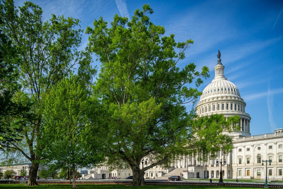A tree stands in front of the U.S. Capitol in Washington, D.C., on Apr. 26, 2024. The U.S. Senate approved a spending package Sunday which would end the 40-day government shutdown. 