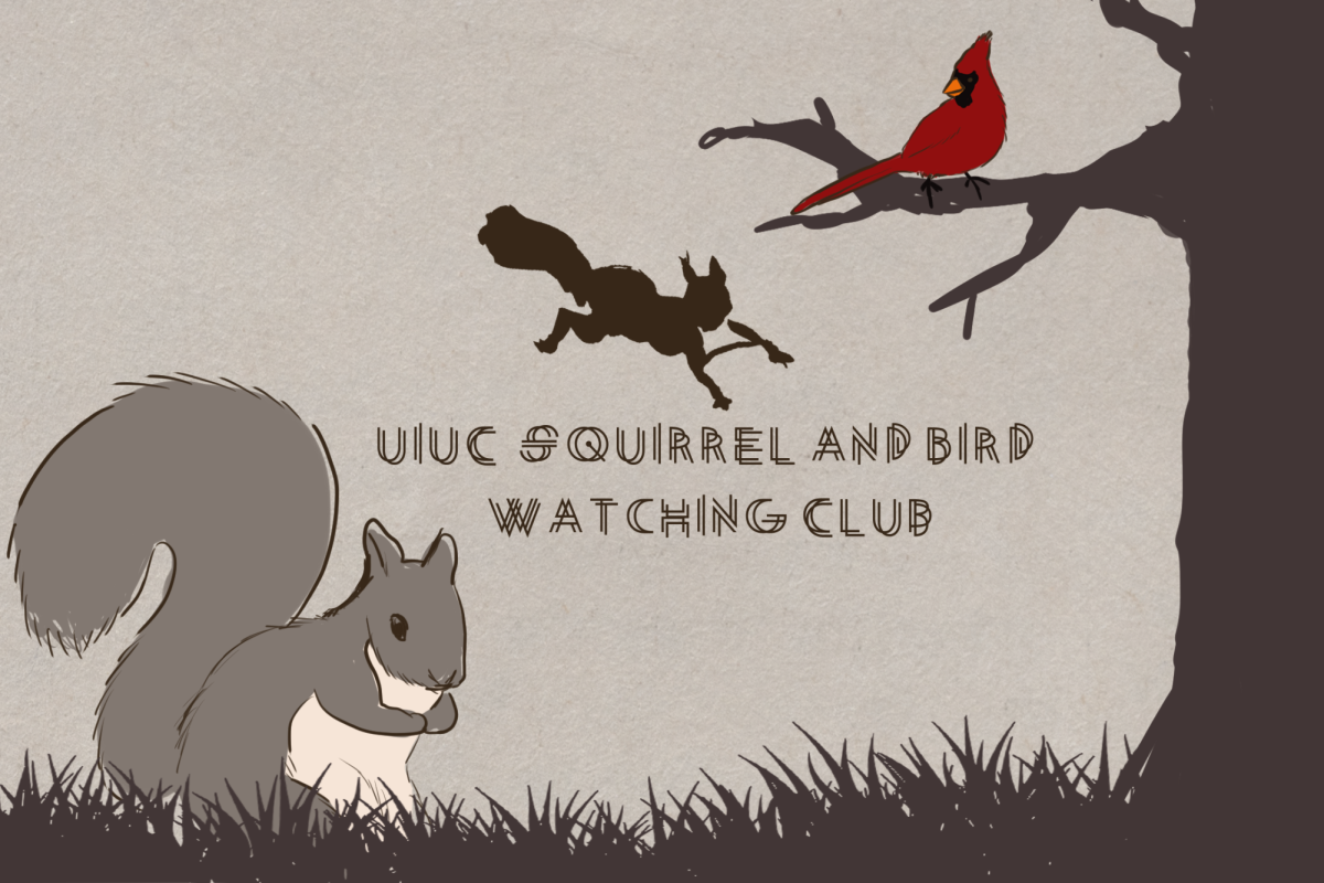 The Squirrel and Bird Watching Club connects people through local wildlife
