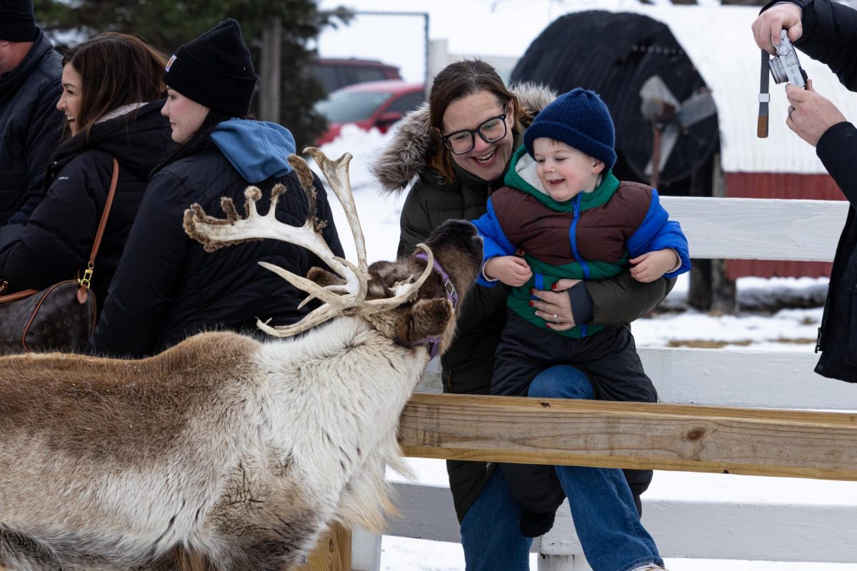 Families pet and take pictures with reindeer at Hardy's Reindeer Ranch in Rantoul, IL on Dec. 6. The ranch has many activities for families including their reindeer tour, hayrides and a play area for children.