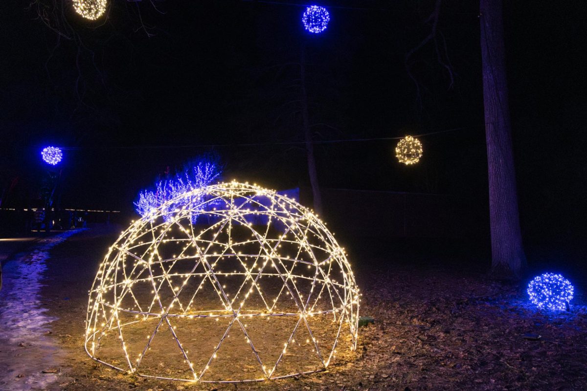 Bright lights sit and hang among the trees at Allerton Park on Dec. 19. The bright nighttime decor is part of the annual Holiday GLOW event at Allerton Park, located just outside of Monticello.