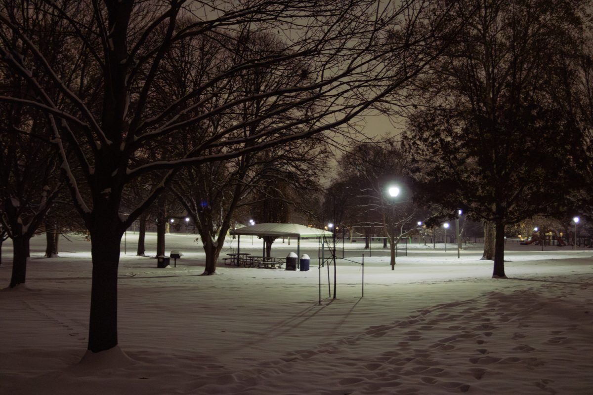 Hessel Park in Champaign is blanketed in several inches of snow on Dec. 2 following a weekend of winter storms. Bitter cold temperatures were predicted for the rest of the week.