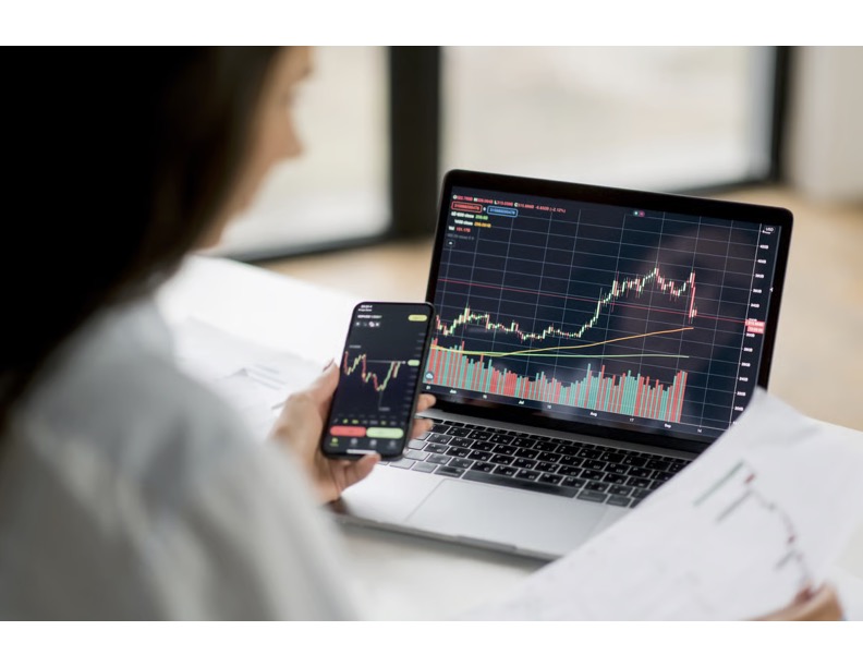 Top 10 Highest Dividend Stocks Offering Steady Income in 2025