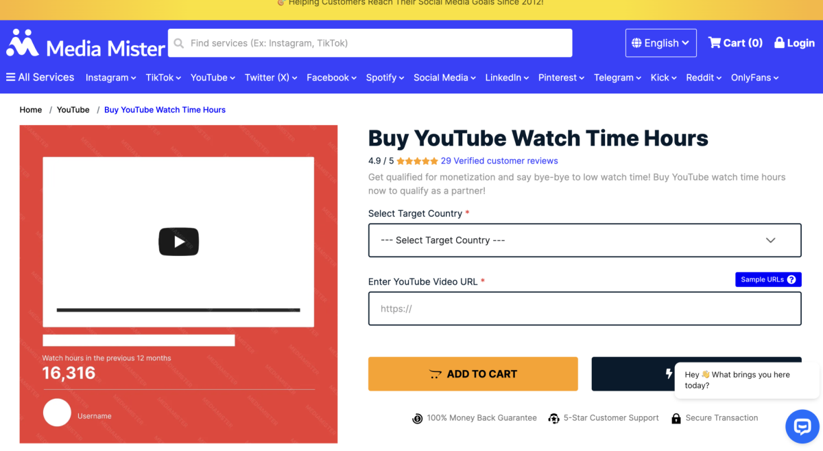 media mister-yt-watch-time-hours