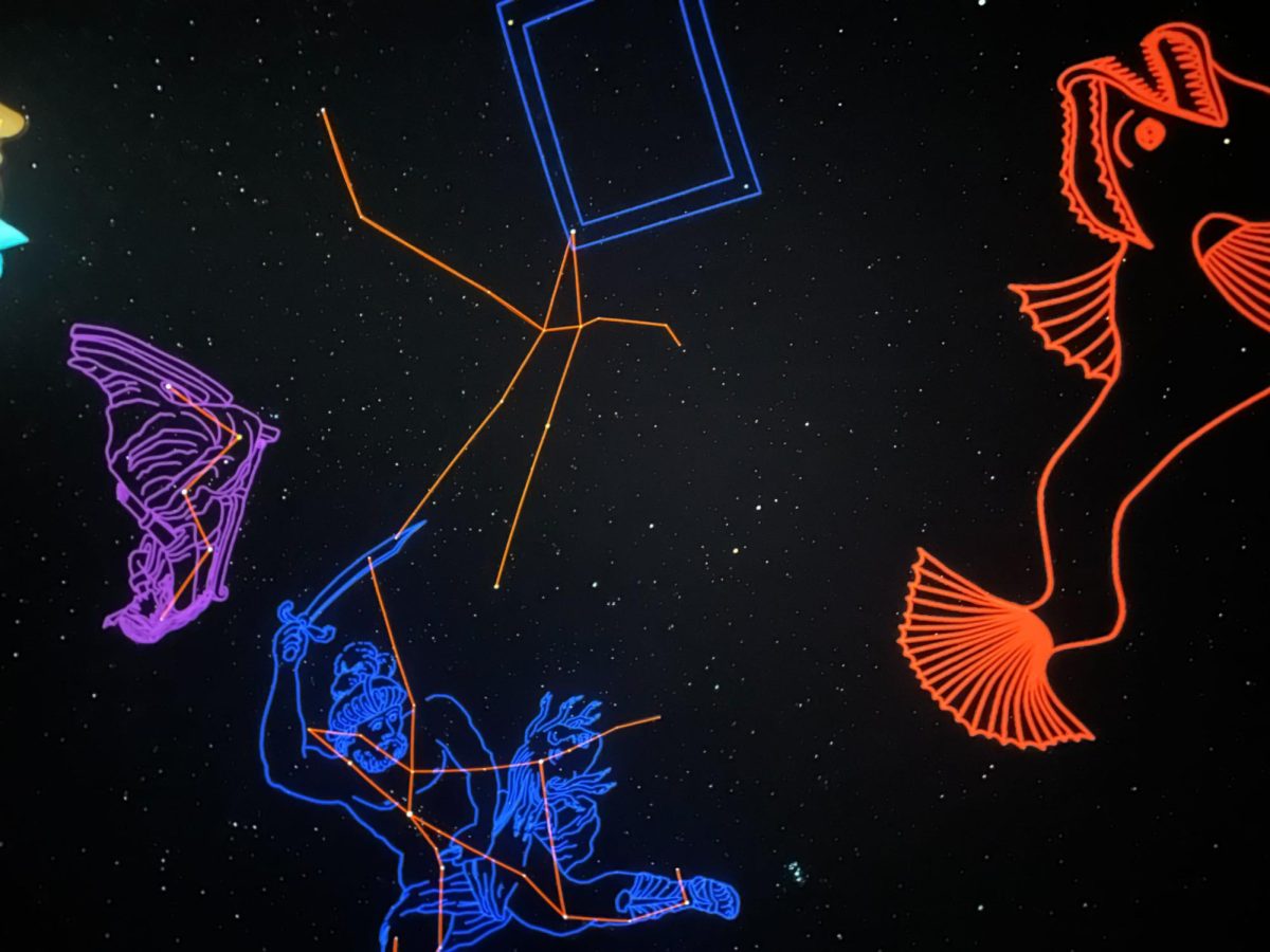 Drawings illustrate the shapes created by constellations in the Autumn night sky at Staerkel Planetarium on Dec. 12. 