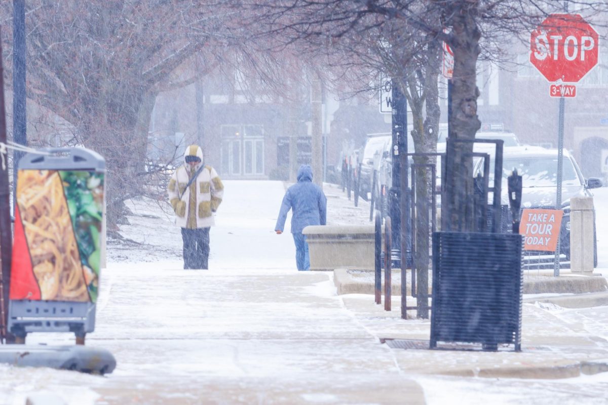 Two people on a sidewalk in snowy conditions on Jan. 24. The city of Urbana declared a snow and ice removal requirement for Monday.