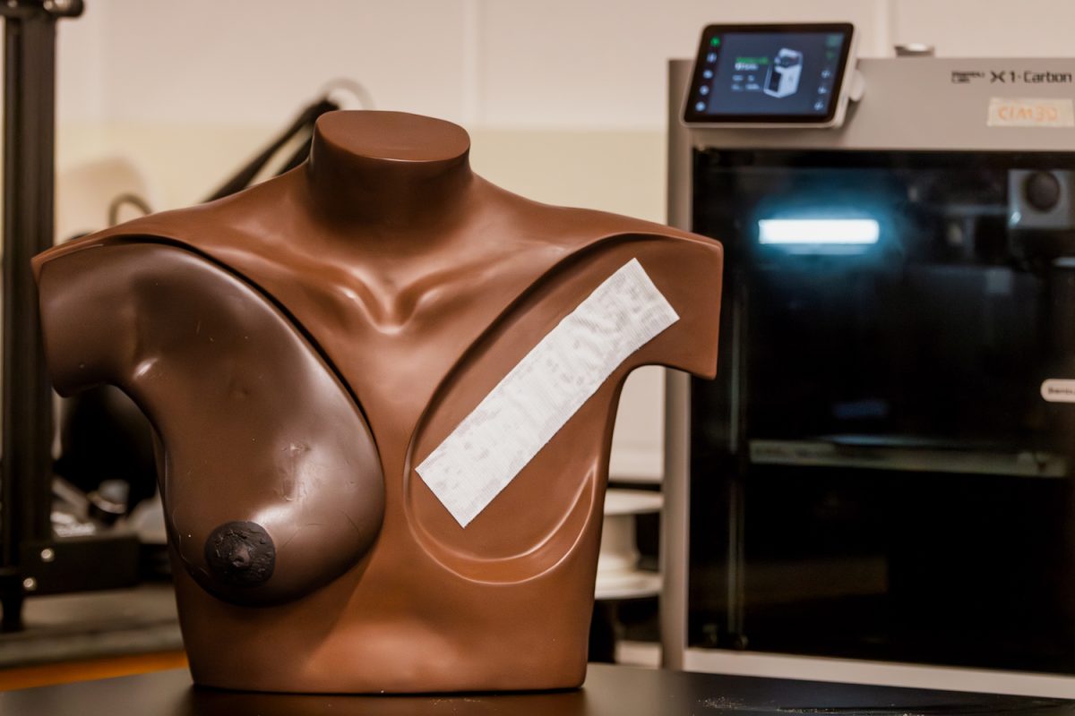 These silicone chest models, shown at the Medical Sciences Building on Nov. 21, 2025, are used for scanning; each component can be removed and swapped with another to create a customizable prosthetic fit. (Friday, Nov. 21)