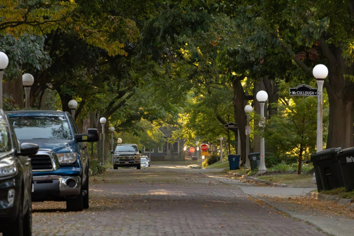 Trees arch over the brick-paved West High Street in Urbana as cars line the quiet residential block. These residential streets are home to many of the DIY house show venues that provide an alternative nightlife east of campus.