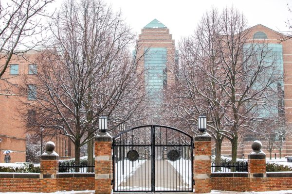 The Beckman Institute for Advanced Science and Technology in December 2024.