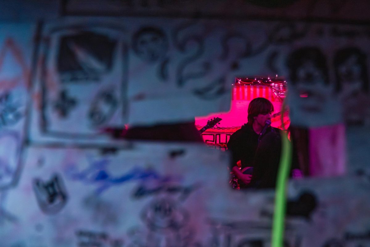 Patty K, lead vocalist of The Written Slip, performs at The Treehouse on Feb. 13 for its Valentine’s Weekend. The venue typically hosts two shows per month featuring local bands from the Champaign-Urbana area.