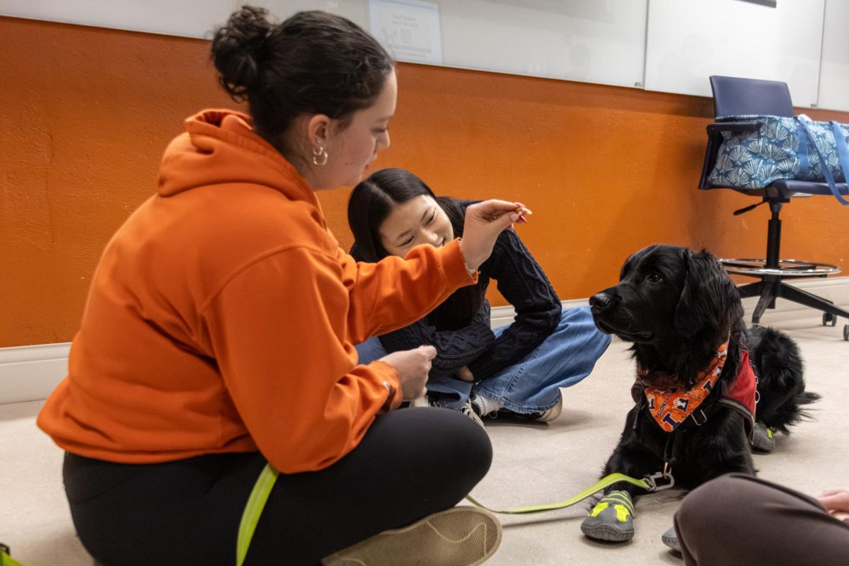 Volunteer trainers work with Luigi, a service animal in training during a weekly 4 Paws Program meeting on Feb. 3. The university-based program partners with the nonprofit 4 Paws for Ability to socialize and train service dogs for placement with individuals with disabilities.