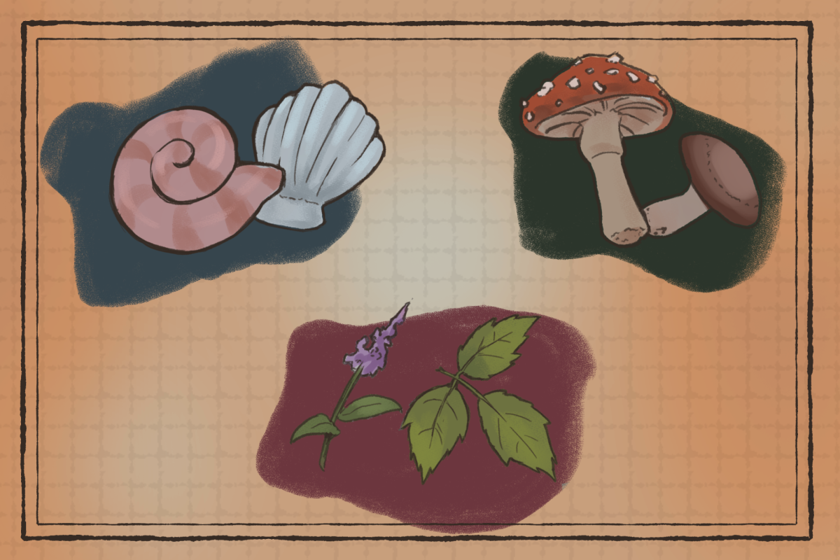 Specimen collections preserve biodiversity across centuries