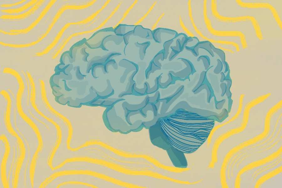 UI researchers combat cognitive decline in aging brains