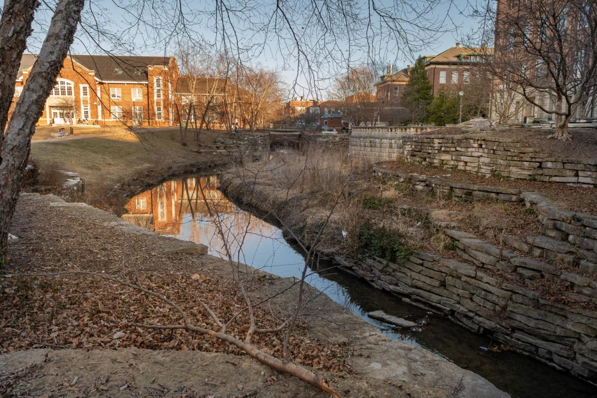 Boneyard Creek, a waterway running north of Engineering Hall, provides a quiet spot for students to reflect as water flows by on Feb. 18. The water feature is this year's Best Place to Cry and, being located on the Bardeen Quad, was likely voted on by Engineering students.